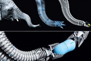 Robotic arm inspired by shop elephant trunk